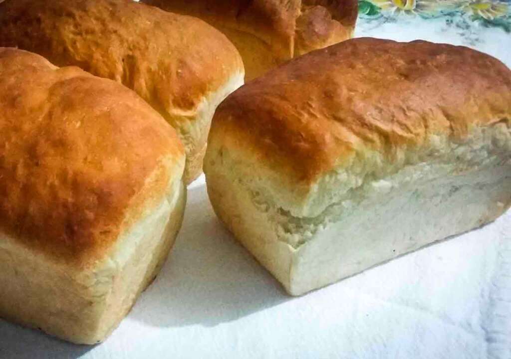 receita de pão caseiro fofinho da vovó